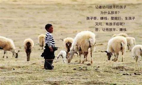 一个孩子放羊把羊丢了