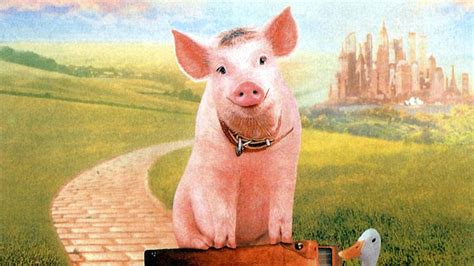 一个宠物小猪的电影