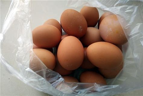 一个鸡蛋的质量约为多少克