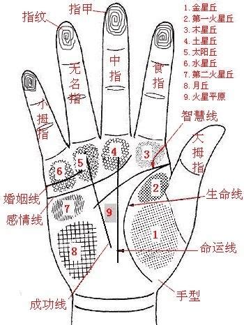 一张图看懂自己的手纹