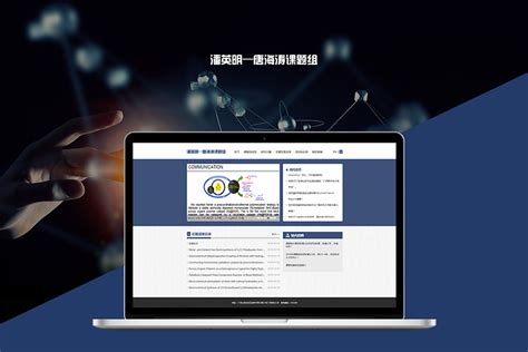 上海专业网站建设服务信息