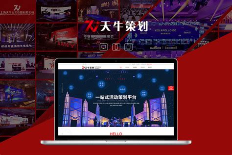 上海国内的网站建设