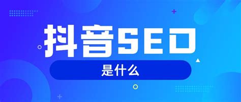 上海抖音搜索seo优化排名