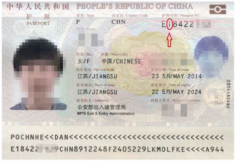 上海电子证件在哪里查询