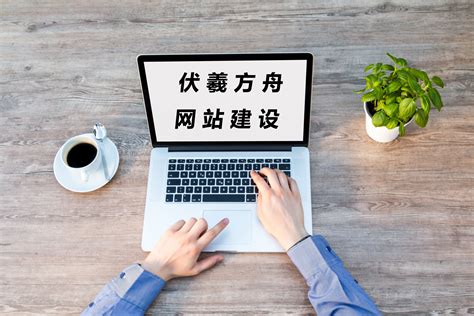 上海网站优化软件费用