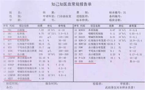 上海血样检测报告