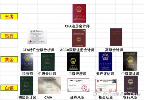上海证书含金量排名