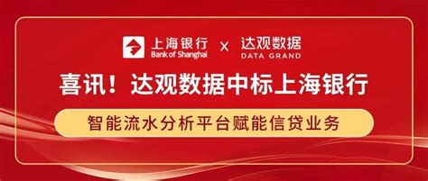 上海银行流水转pdf
