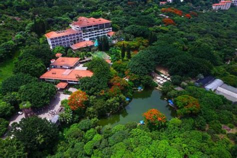 上海青青旅游世界酒店预订价格