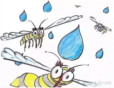 下大雨时为什么蚊子不被雨滴砸死