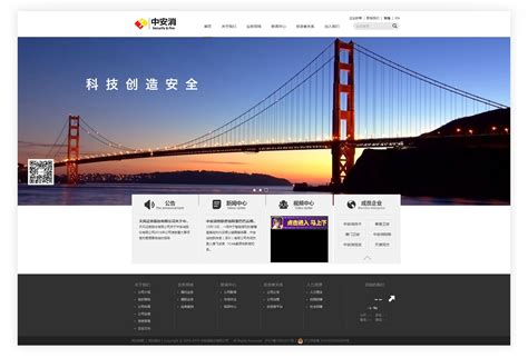 专业网站设计公司上海