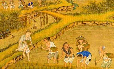 世上最早种植水稻的国家