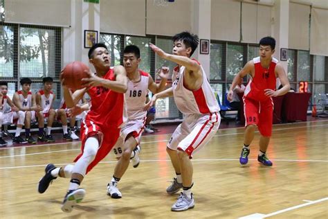 东莞市nba篮球学校录取标准