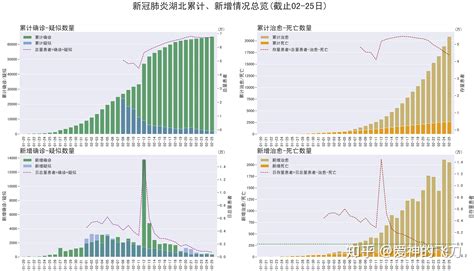 中国专家解读新冠死亡率