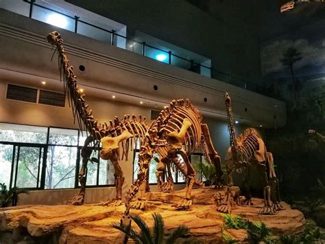 中国八大恐龙博物馆排名