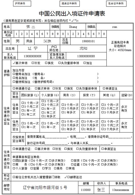 中国公民出入境证件申请表模板