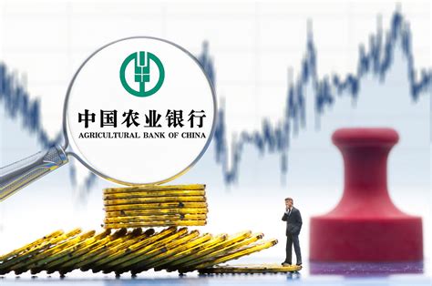 中国农业银行贷款流水要求