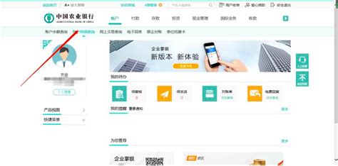 中国农业银行app怎么查询账户流水