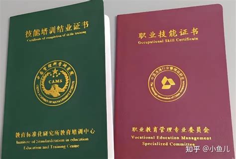 中国哪些认可的家庭教育证书