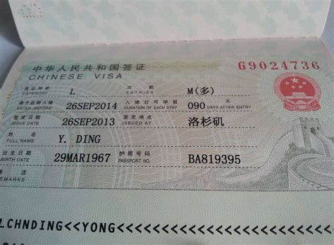 中国工作签证图片大全