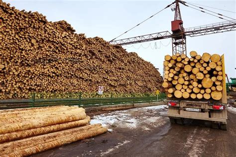 中国最大木材批发市场