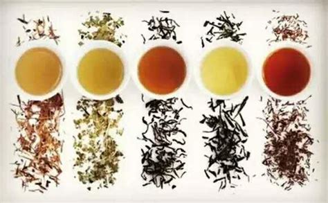 中国最著名的十大黑茶