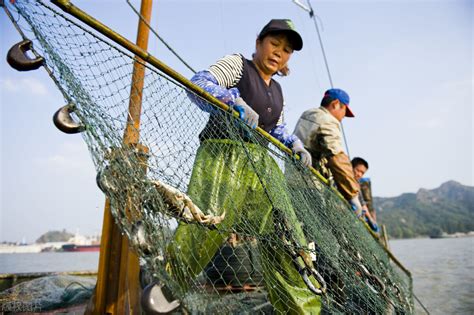 中国渔业批发网