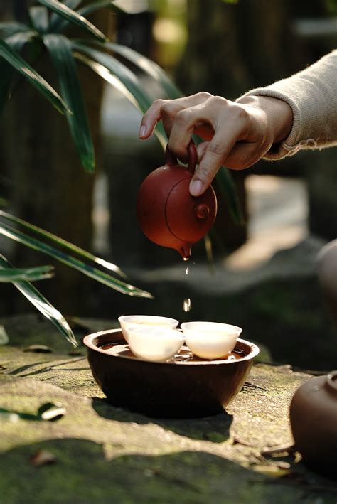 中国的茶文化简介