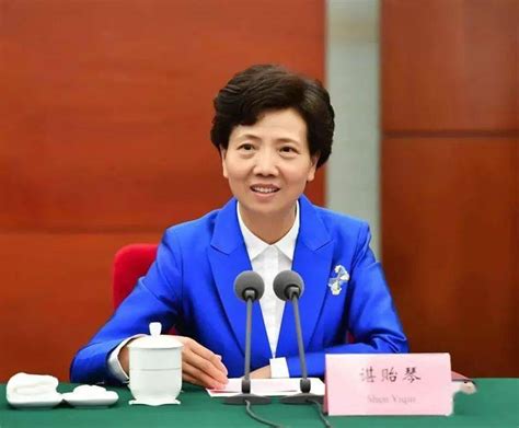 中国第1个女省委书记