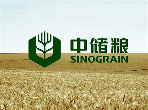中国粮食公司取名