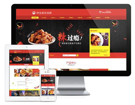中国网站优化加盟