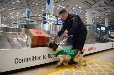 中国航班入境行李检查