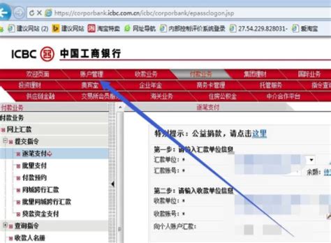 中国银行网上流水账单查询