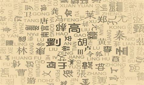 中国阮姓有多少人