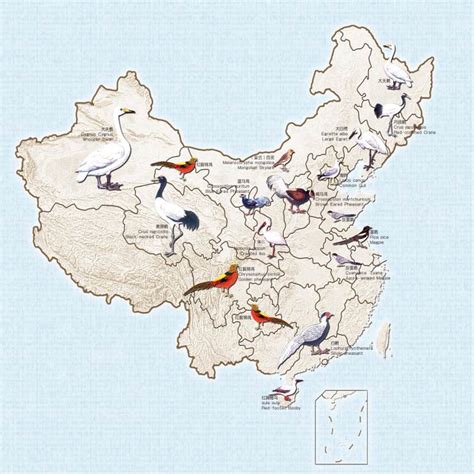 中国鸟类分布图
