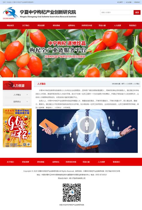 中宁企业网站运营