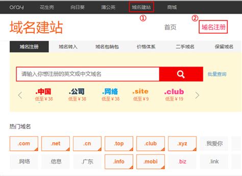 中文com域名查询