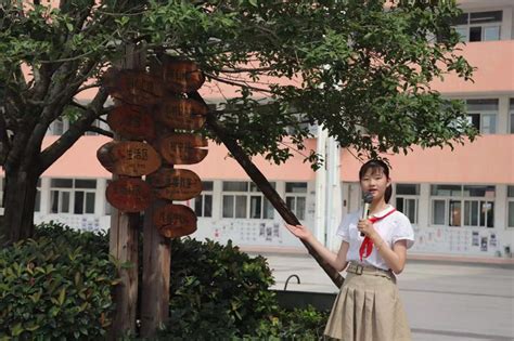 丰县创新外国语中学