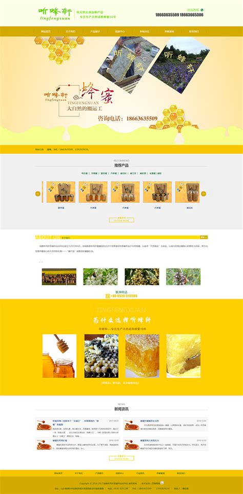 临朐县网站建设推广方式