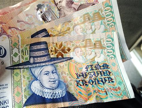 丹麦克朗在国内可以兑换人民币吗