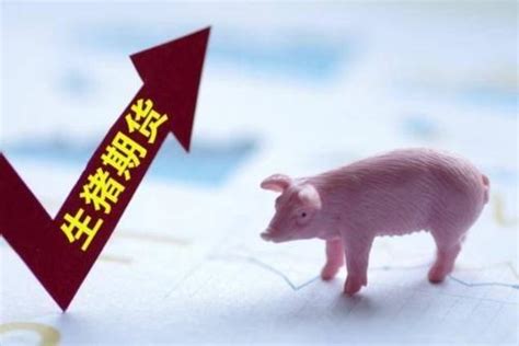 为什么猪价现货上涨期货下跌呢