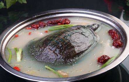 为什么铁板甲鱼是很残忍的菜
