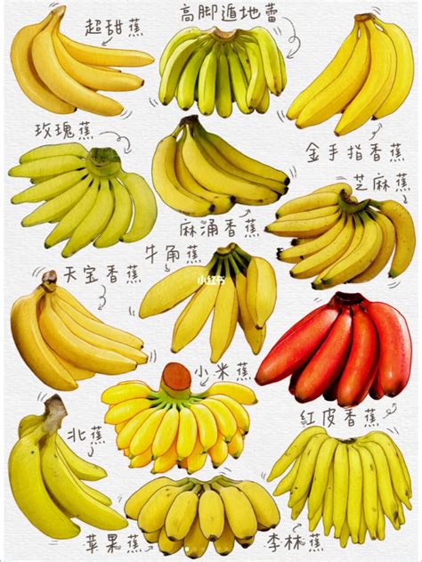 为什么香蕉很多人喜欢