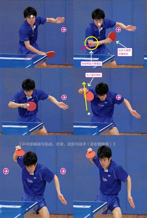 乒乓球发上旋球技术视频