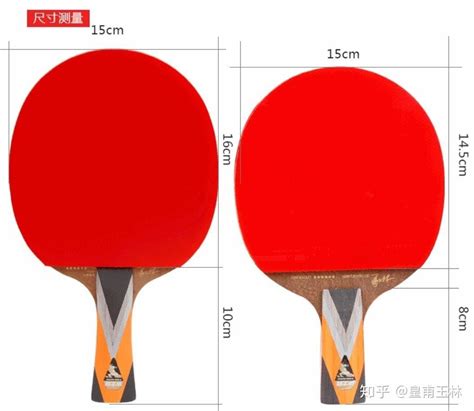 乒乓球拍底板有什么作用