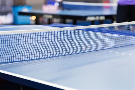 乒乓球网子的图片