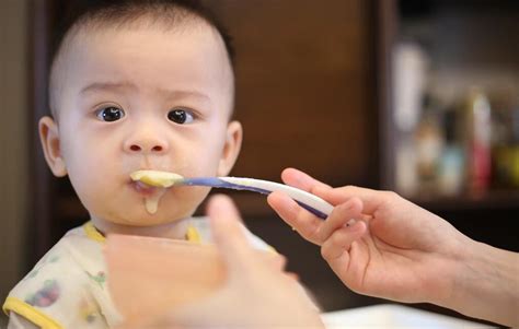 五个月的婴儿能吃辅食吗