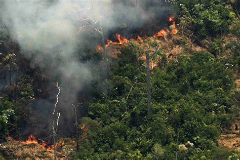 亚马逊森林大火最新