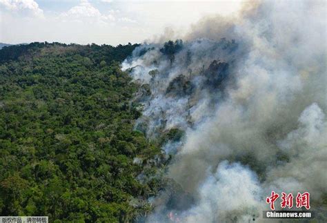 亚马逊森林大火燃烧多久