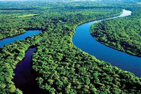 亚马逊河是哪个国家的